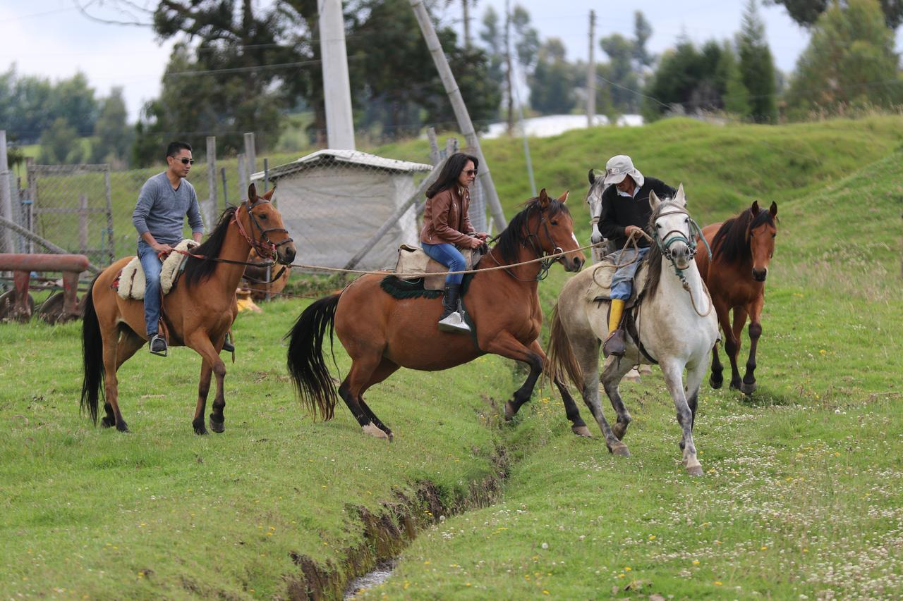 Hosteria Loma Larga كايامبيه المظهر الخارجي الصورة